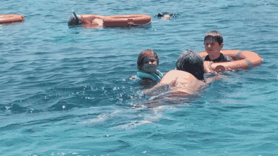Snorkellers enjoying the reef off the Kenyan coast
